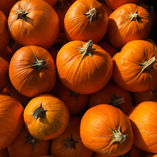 Jack O’ Lantern